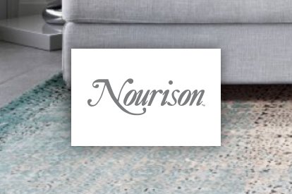 Nourison | PDJ Flooring